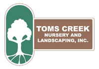 Toms Creek Farm & Nursery