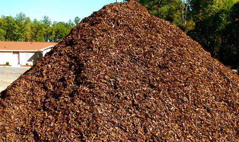Aged Shredded Pine Bark Mulch