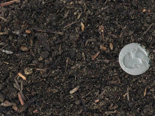potting materials for plants in the nursery Nursery pre-mix or potting soil
