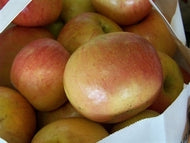 Fuji Apple (standard)